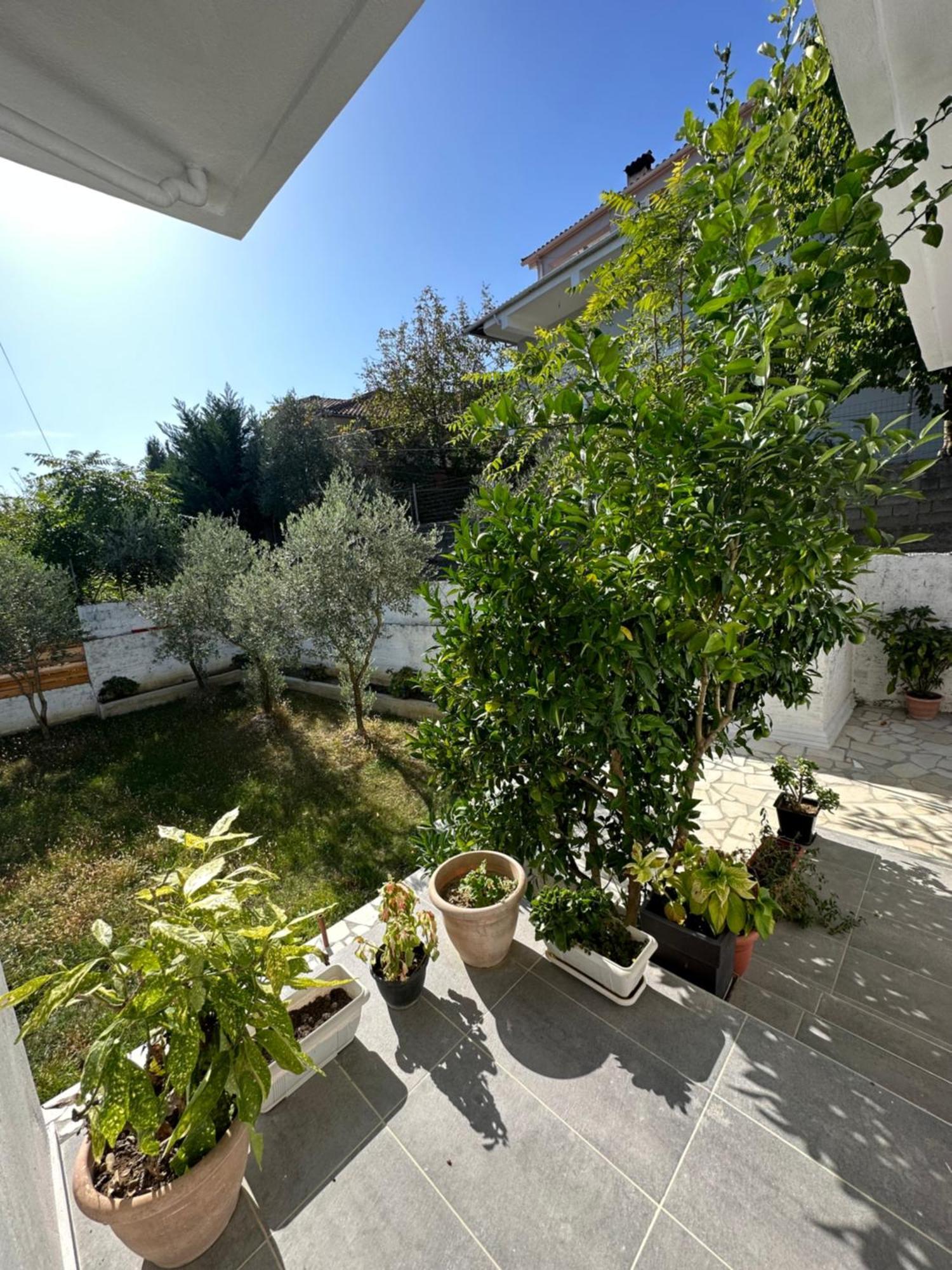 Villa Braho Gjirokastër Exterior foto
