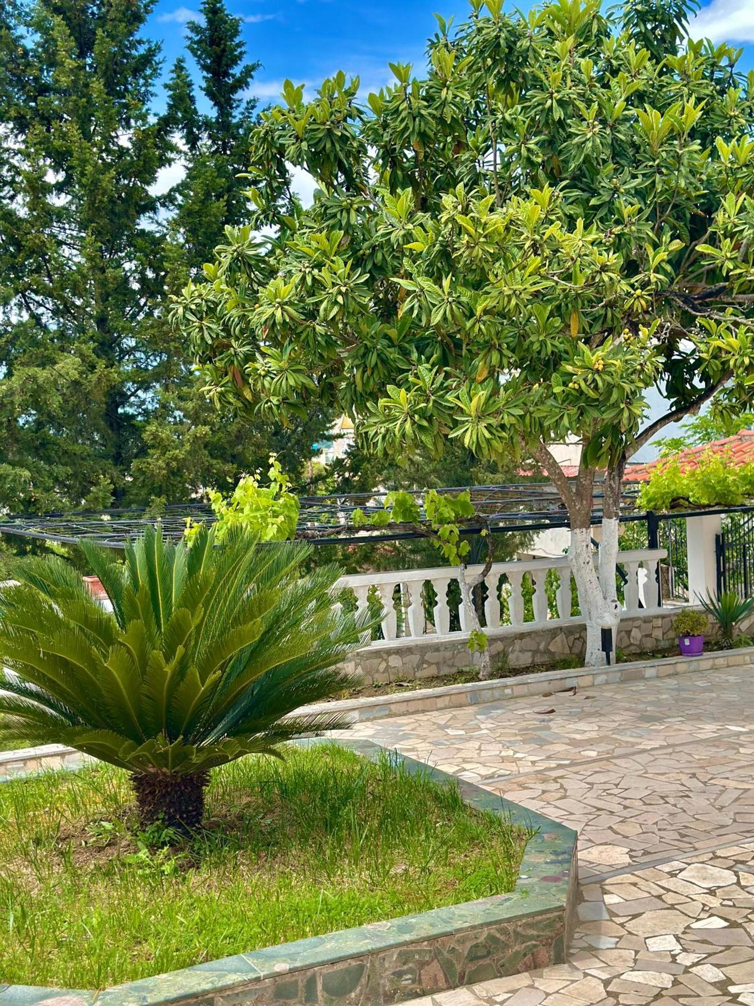 Villa Braho Gjirokastër Exterior foto